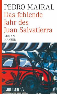 Das fehlende Jahr des Juan Salvatierra - Mairal, Pedro
