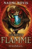 Drachenflamme / Die Feuerreiter Seiner Majestät Bd.6 Drachenflamme / Die Feuerreiter Seiner Majestät Bd.6