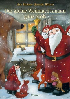 Der kleine Weihnachtsmann ganz groß - Stohner, Anu;Wilson, Henrike