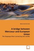 A bridge between Mercosur and European Union