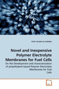 Novel and Inexpensive Polymer Electrolyte Membranes for Fuel Cells - Sherazi, Syed T. A.