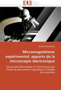 Micromagnétisme expérimental: apports de la microscopie électronique - Masseboeuf, Aurélien