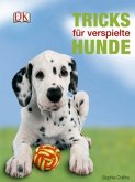 Tricks für verspielte Hunde