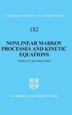 Nonlinear Markov Processes and Kinetic Equations