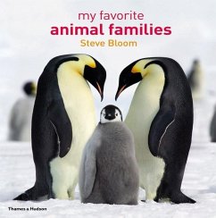 My Favorite Animal Families - Bloom, Steve; Wilson, David Henry