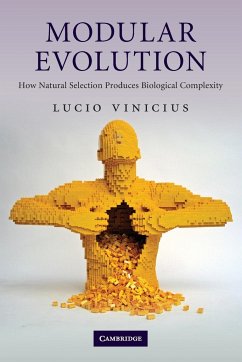 Modular Evolution - Vinicius, Lucio