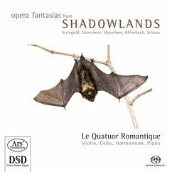 Opernfantasien Aus Der Schattenwelt - Quatuor Romantique