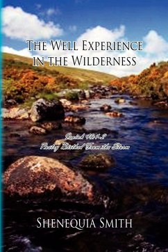 The Well Experience in the Wilderness - Smith, Shenequia