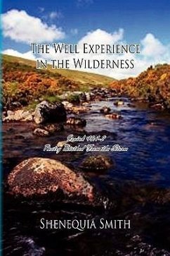 The Well Experience in the Wilderness - Smith, Shenequia