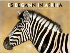 Es begann in Afrika - Dreßler, Thomas
