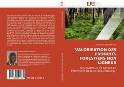 VALORISATION DES PRODUITS FORESTIERS NON LIGNEUX - Biloso Moyene, Apollinaire