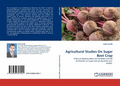 Agricultural Studies On Sugar Beet Crop