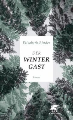 Der Wintergast - Binder, Elisabeth