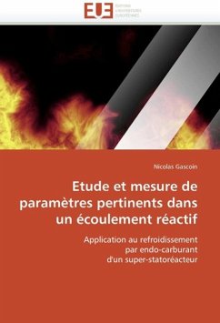 Etude et mesure de paramètres pertinents dans un écoulement réactif - Gascoin, Nicolas