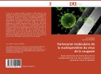 Partenariat moléculaire de la nucléoprotéine du virus de la rougeole