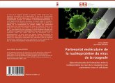 Partenariat moléculaire de la nucléoprotéine du virus de la rougeole