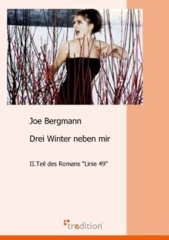 Drei Winter neben mir - Bergmann, Joe