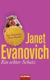 Ein echter Schatz / Stephanie Plum Bd.13