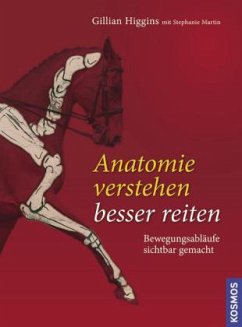 Anatomie verstehen, besser reiten - Martin, Stephanie;Higgins, Gillian