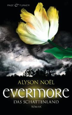 Das Schattenland / Evermore Bd.3 - Noël, Alyson