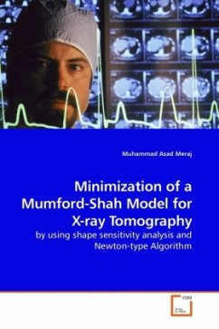 Minimization of a Mumford-Shah Model for X-ray Tomography - Meraj, Muhammad Asad