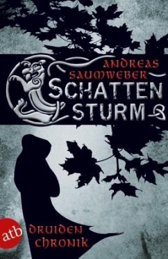 Cover Schattensturm / Druidenchronik Bd.2