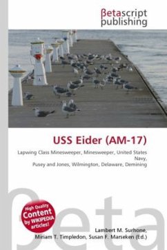 USS Eider (AM-17)