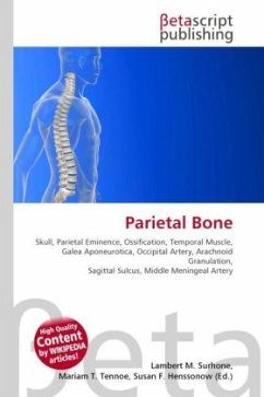 Parietal Bone