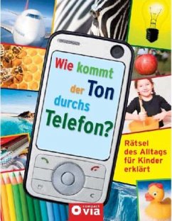 Wie kommt der Ton durchs Telefon? - Alisch, Tatjana