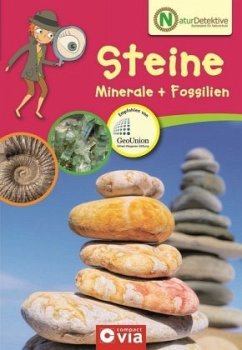 Steine, Minerale + Fossilien - Rüter, Martina