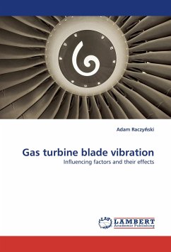 Gas turbine blade vibration - Raczy ski, Adam