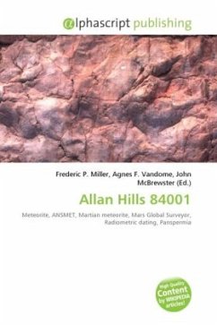 Allan Hills 84001