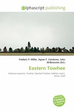 Eastern Towhee Eastern Towhee