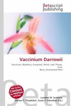 Vaccinium Darrowii