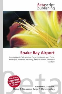 Snake Bay Airport