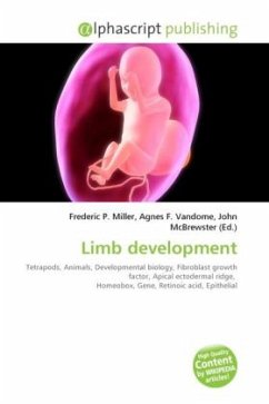 Limb development