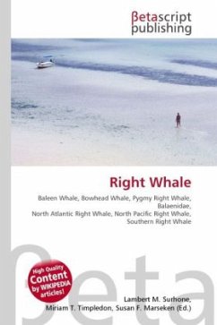 Right Whale