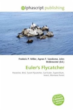 Euler's Flycatcher