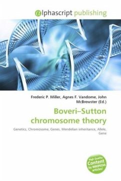 Boveri Sutton chromosome theory
