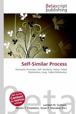 Cover Self-Similar Process