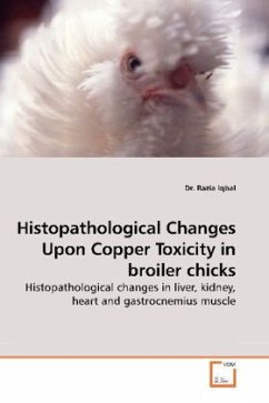 Histopathological Changes Upon Copper Toxicity in broiler chicks - Iqbal, Razia