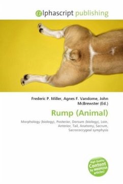 Rump (Animal)