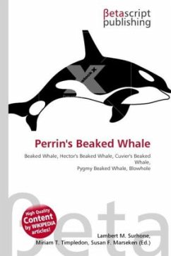 Perrin's Beaked Whale