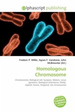 Homologous Chromosome