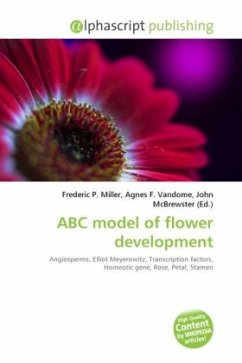 ABC model of flower development
