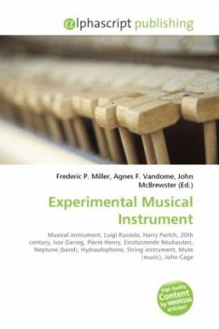 Experimental Musical Instrument