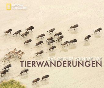 Das große Wunder der Tierwanderungen Das große Wunder der Tierwanderungen