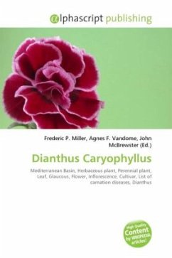 Dianthus Caryophyllus