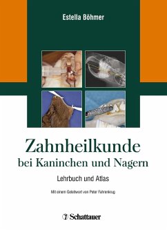 Zahnheilkunde bei Kaninchen und Nagern - Böhmer, Estella