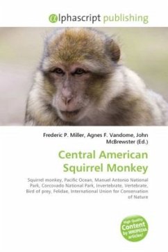 Central American Squirrel Monkey